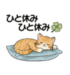 笑顔を運ぶ猫たち♡ シニアさんあるある（個別スタンプ：19）
