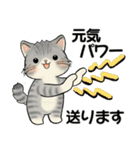 笑顔を運ぶ猫たち♡ シニアさんあるある（個別スタンプ：21）