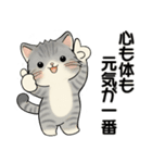 笑顔を運ぶ猫たち♡ シニアさんあるある（個別スタンプ：25）