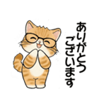 笑顔を運ぶ猫たち♡ シニアさんあるある（個別スタンプ：31）