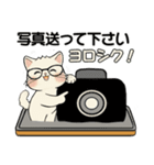 笑顔を運ぶ猫たち♡ シニアさんあるある（個別スタンプ：35）