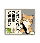 笑顔を運ぶ猫たち♡ シニアさんあるある（個別スタンプ：38）