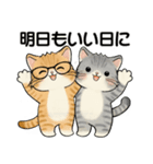 笑顔を運ぶ猫たち♡ シニアさんあるある（個別スタンプ：40）