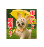 オコジョすたんぷ♡うさ吉・夏の会話ver（個別スタンプ：3）
