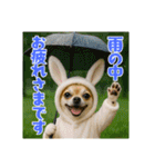 オコジョすたんぷ♡うさ吉・夏の会話ver（個別スタンプ：4）
