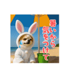 オコジョすたんぷ♡うさ吉・夏の会話ver（個別スタンプ：13）