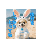 オコジョすたんぷ♡うさ吉・夏の会話ver（個別スタンプ：14）
