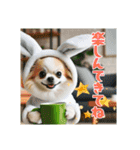 オコジョすたんぷ♡うさ吉・夏の会話ver（個別スタンプ：17）