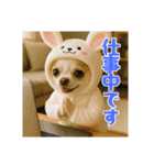 オコジョすたんぷ♡うさ吉・夏の会話ver（個別スタンプ：22）