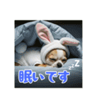 オコジョすたんぷ♡うさ吉・夏の会話ver（個別スタンプ：31）