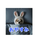 オコジョすたんぷ♡うさ吉・夏の会話ver（個別スタンプ：33）