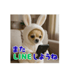 オコジョすたんぷ♡うさ吉・夏の会話ver（個別スタンプ：34）