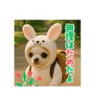 オコジョすたんぷ♡うさ吉・夏の会話ver（個別スタンプ：36）