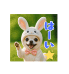 オコジョすたんぷ♡うさ吉・夏の会話ver（個別スタンプ：37）