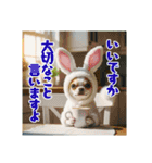 オコジョすたんぷ♡うさ吉・夏の会話ver（個別スタンプ：38）