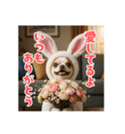 オコジョすたんぷ♡うさ吉・夏の会話ver（個別スタンプ：40）