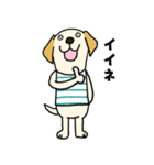 ラブラドールな犬たち・フレンドリー編（個別スタンプ：10）