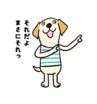 ラブラドールな犬たち・フレンドリー編（個別スタンプ：13）