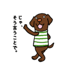 ラブラドールな犬たち・フレンドリー編（個別スタンプ：15）
