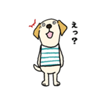 ラブラドールな犬たち・フレンドリー編（個別スタンプ：16）