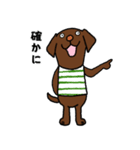 ラブラドールな犬たち・フレンドリー編（個別スタンプ：18）