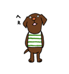 ラブラドールな犬たち・フレンドリー編（個別スタンプ：24）