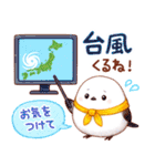 シマエナガたちの夏♪（個別スタンプ：34）