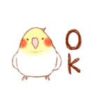 オカメインコの日常【ピヨ彦】（個別スタンプ：1）