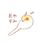 オカメインコの日常【ピヨ彦】（個別スタンプ：3）