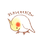 オカメインコの日常【ピヨ彦】（個別スタンプ：6）