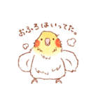 オカメインコの日常【ピヨ彦】（個別スタンプ：7）