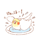 オカメインコの日常【ピヨ彦】（個別スタンプ：8）