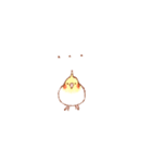 オカメインコの日常【ピヨ彦】（個別スタンプ：15）