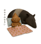 遮光器イカちゃん★リアル動物27種（個別スタンプ：15）
