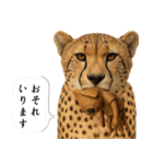 遮光器イカちゃん★リアル動物27種（個別スタンプ：27）