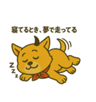 デビルHANIマン犬の日常あるある（個別スタンプ：20）