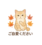 しっぽと季節の花（個別スタンプ：17）