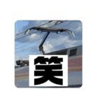 鉄道パンタグラフスタンプ第1弾（個別スタンプ：9）