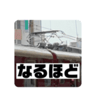 鉄道パンタグラフスタンプ第1弾（個別スタンプ：24）