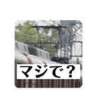 鉄道パンタグラフスタンプ第2弾（個別スタンプ：7）