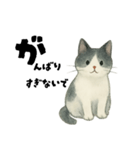 【使いやすい】白黒ねこのやさしい日常（個別スタンプ：1）