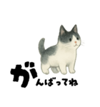 【使いやすい】白黒ねこのやさしい日常（個別スタンプ：3）
