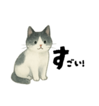 【使いやすい】白黒ねこのやさしい日常（個別スタンプ：4）