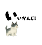 【使いやすい】白黒ねこのやさしい日常（個別スタンプ：6）