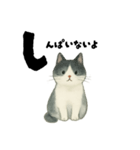 【使いやすい】白黒ねこのやさしい日常（個別スタンプ：10）