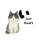 【使いやすい】白黒ねこのやさしい日常（個別スタンプ：11）