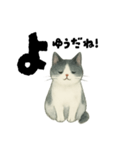 【使いやすい】白黒ねこのやさしい日常（個別スタンプ：14）