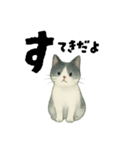 【使いやすい】白黒ねこのやさしい日常（個別スタンプ：15）