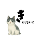 【使いやすい】白黒ねこのやさしい日常（個別スタンプ：16）