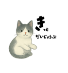 【使いやすい】白黒ねこのやさしい日常（個別スタンプ：19）